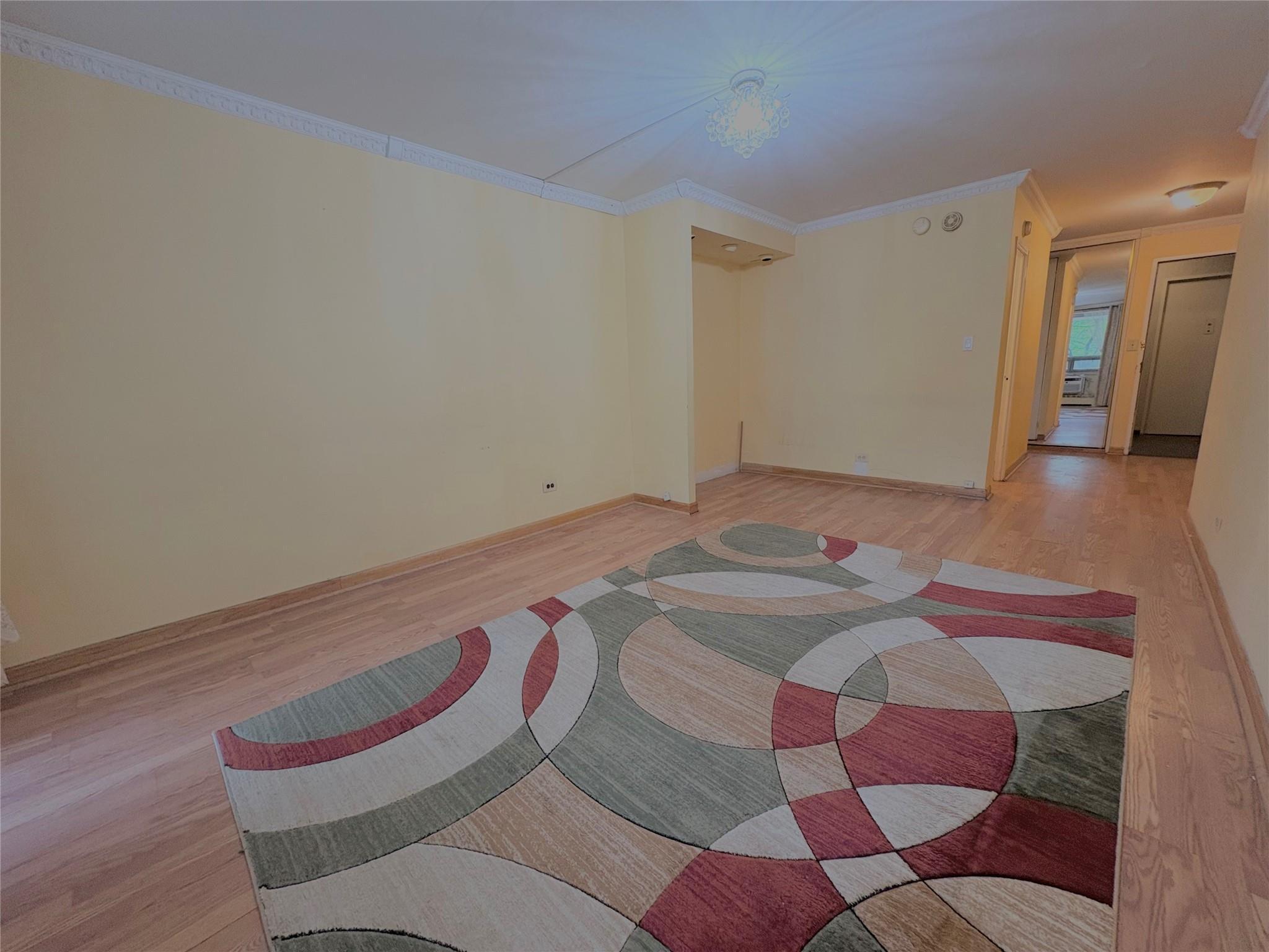 Coop 97  Queens, NY 11374, MLS-865589-10