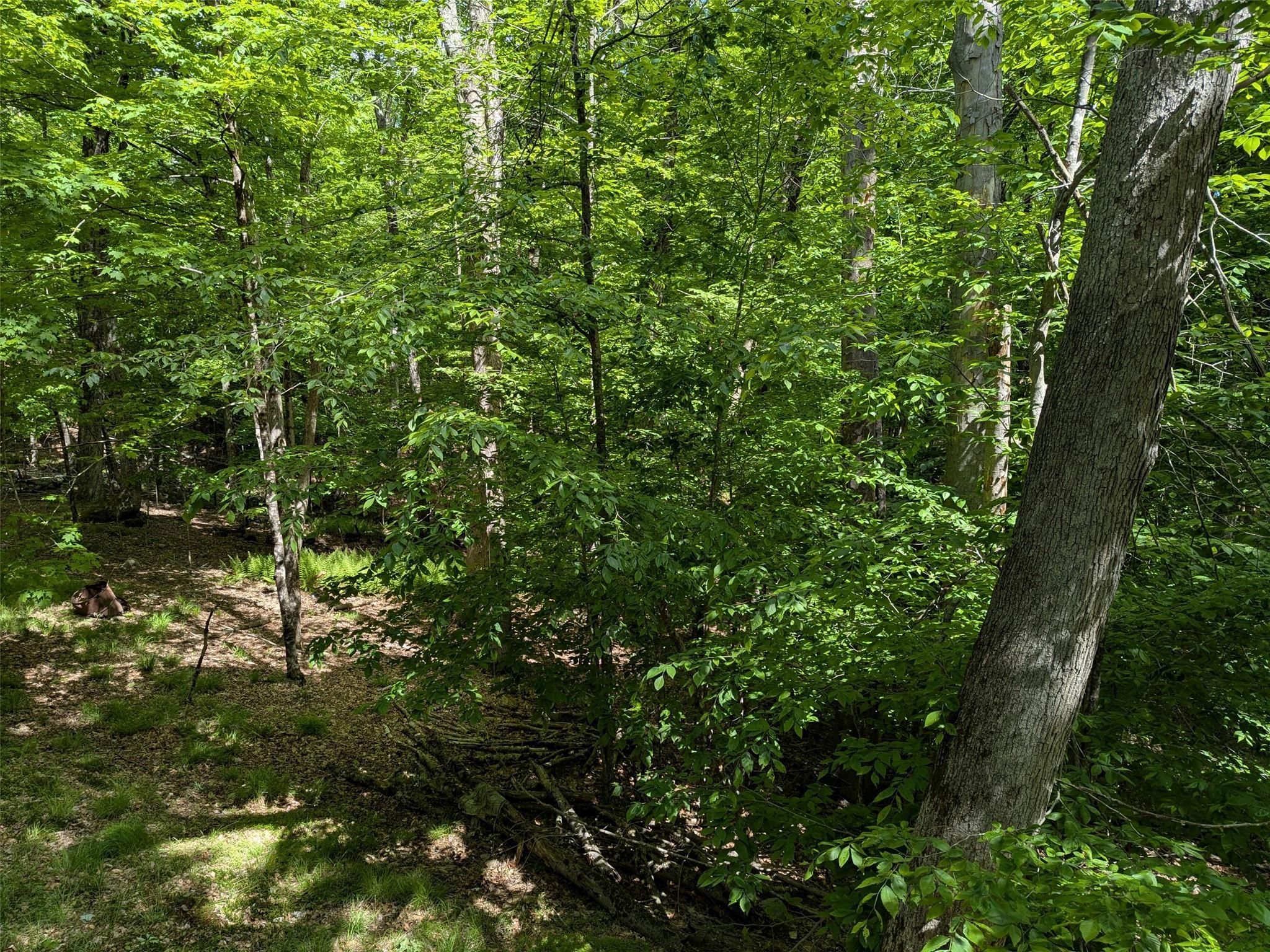 Single Family Peenpack  Orange County, NY 12746, MLS-865591-10