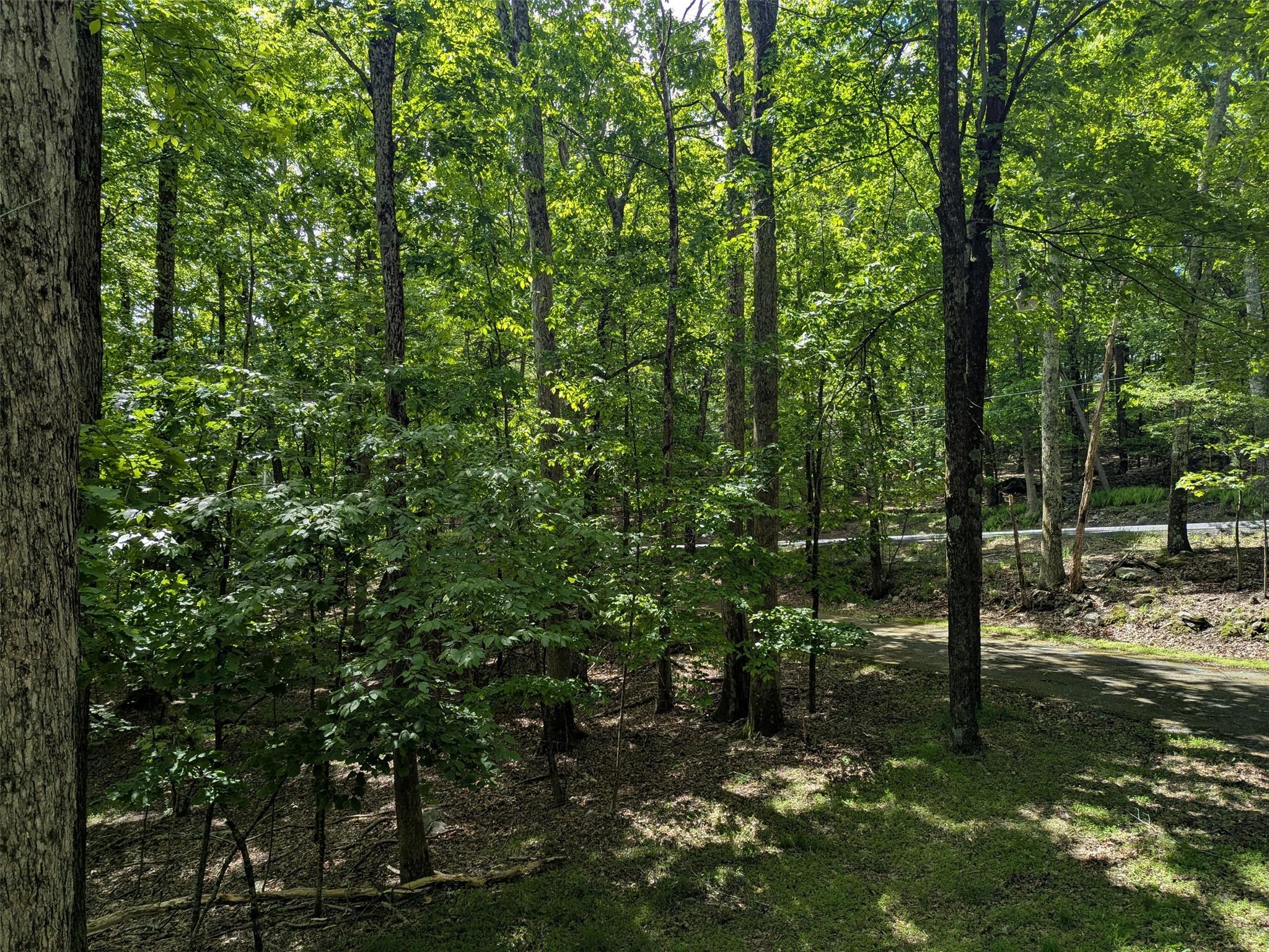 Single Family Peenpack  Orange County, NY 12746, MLS-865591-11