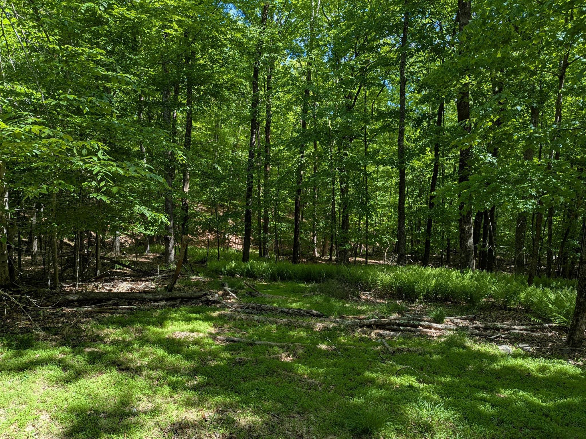 Single Family Peenpack  Orange County, NY 12746, MLS-865591-18