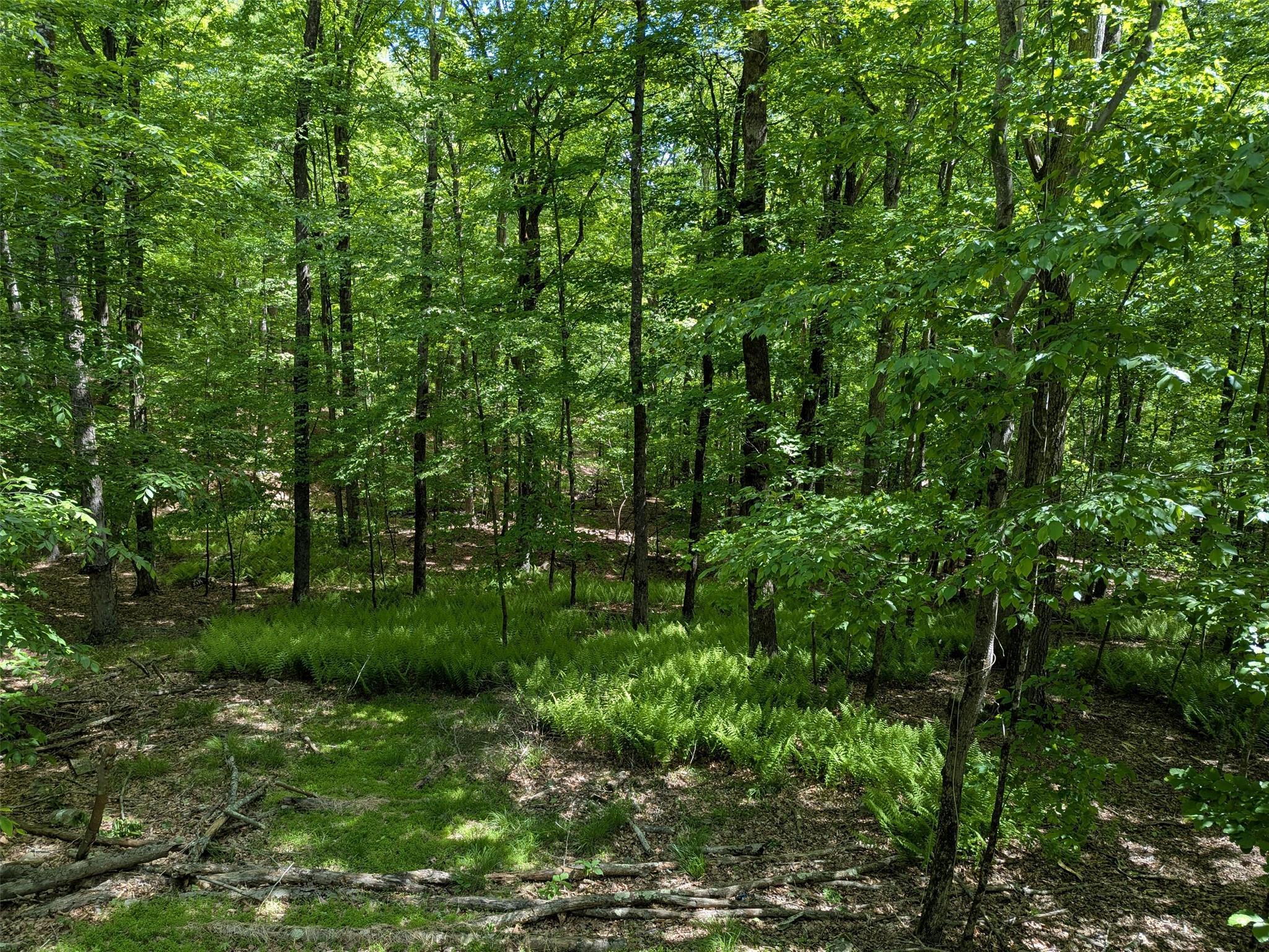 Single Family Peenpack  Orange County, NY 12746, MLS-865591-6