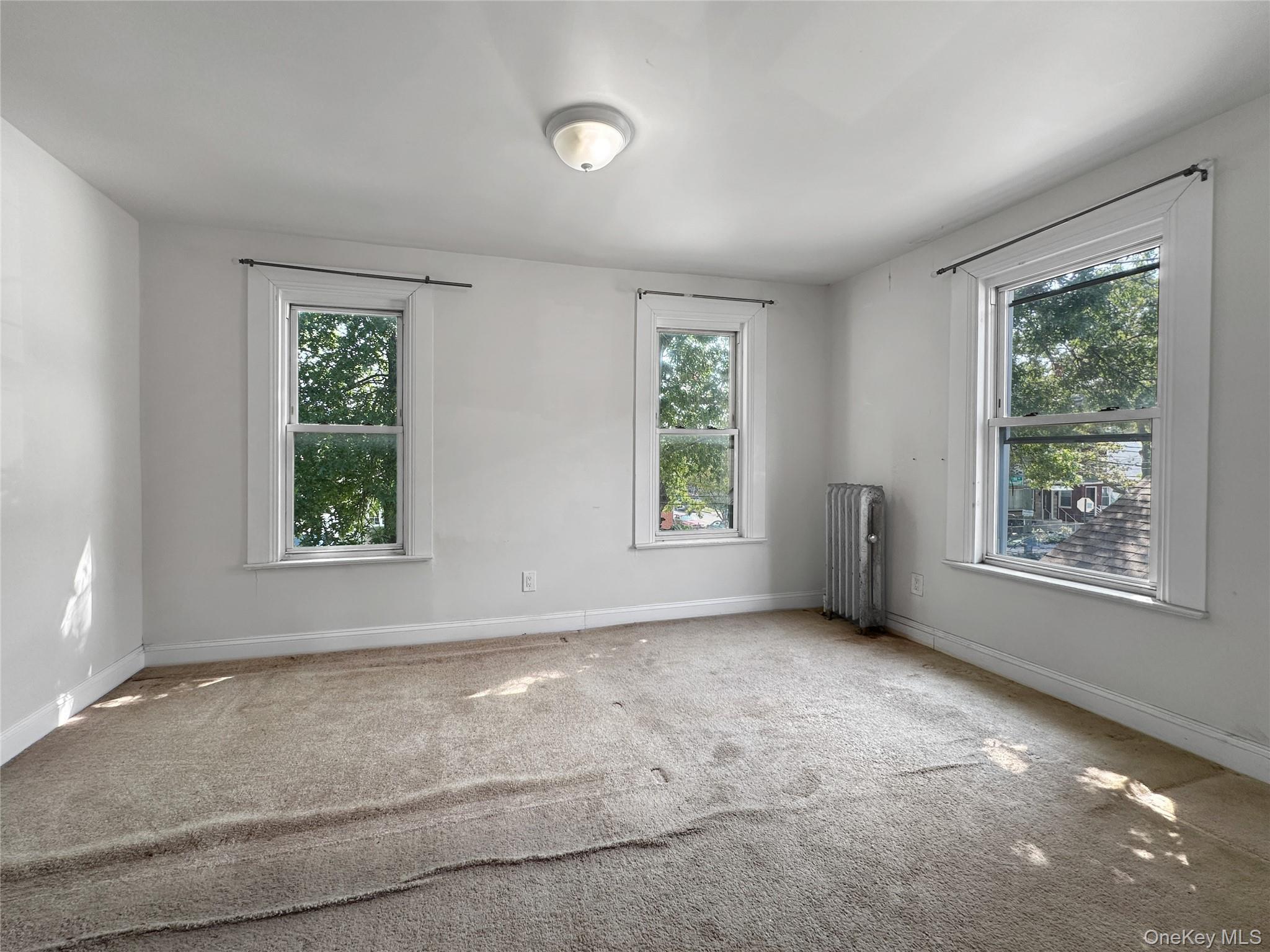 Single Family 153rd Queens, NY 11433, MLS-865593-7