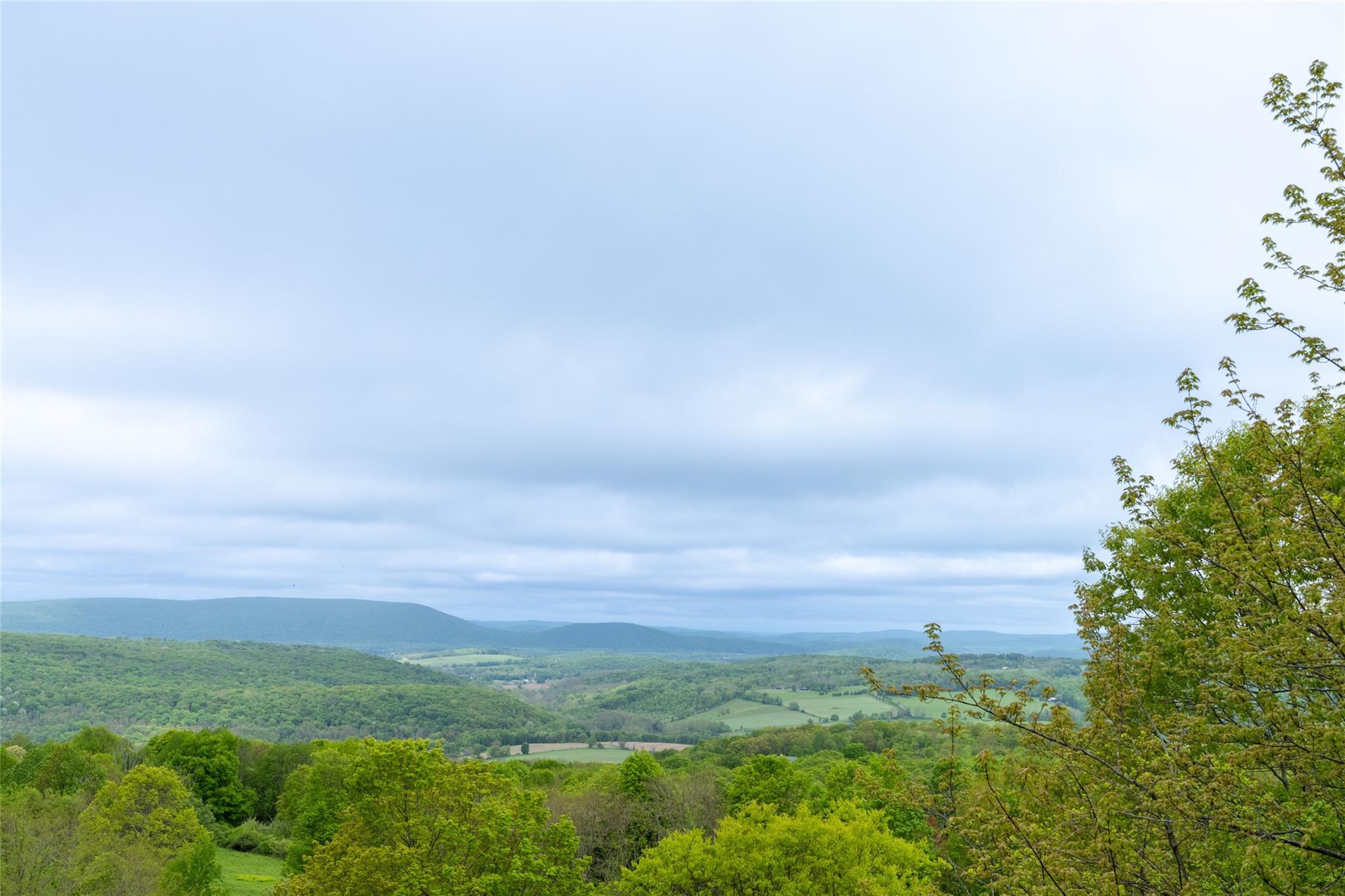 Single Family Charlie Hill  Dutchess County, NY 12546, MLS-865598-25