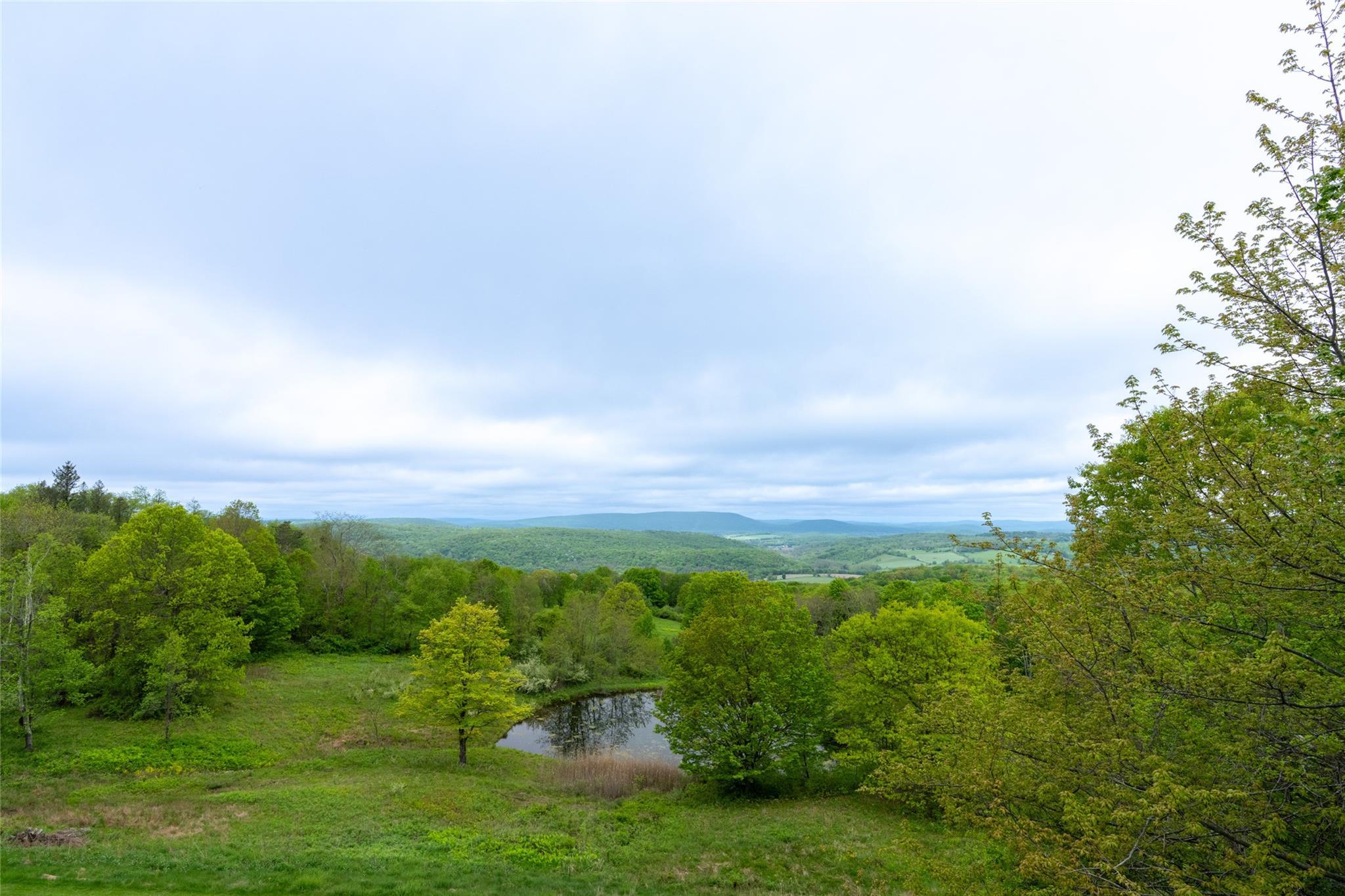 Single Family Charlie Hill  Dutchess County, NY 12546, MLS-865598-6