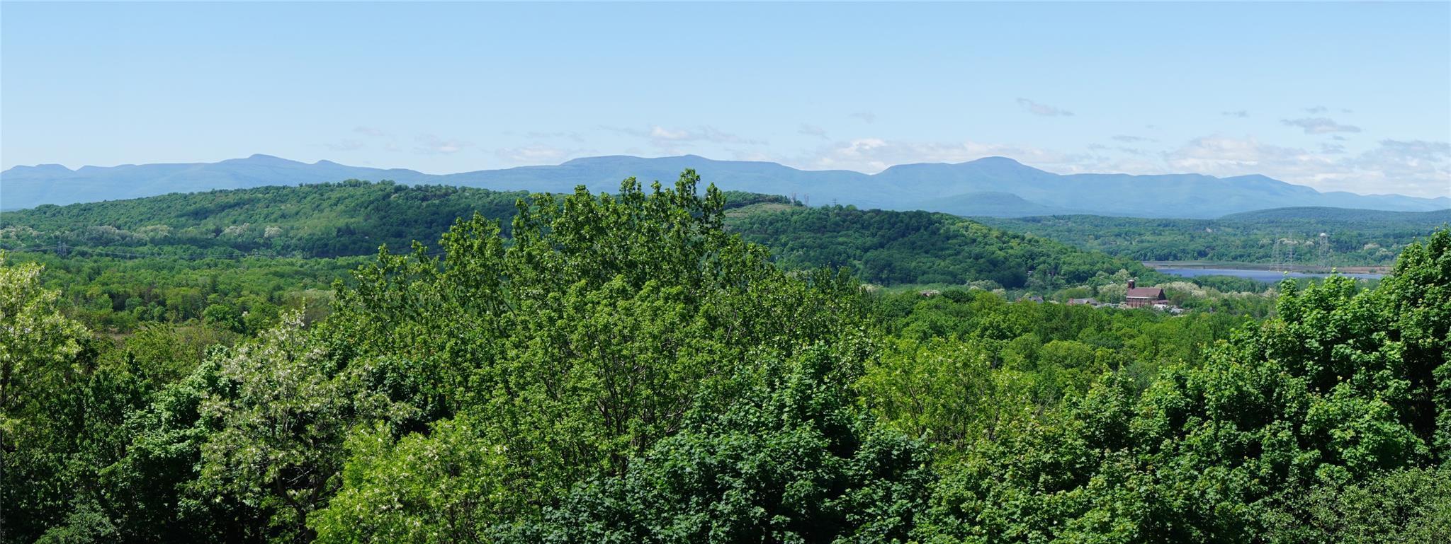 Single Family Van Winkle  Columbia County, NY 12534, MLS-865621-15
