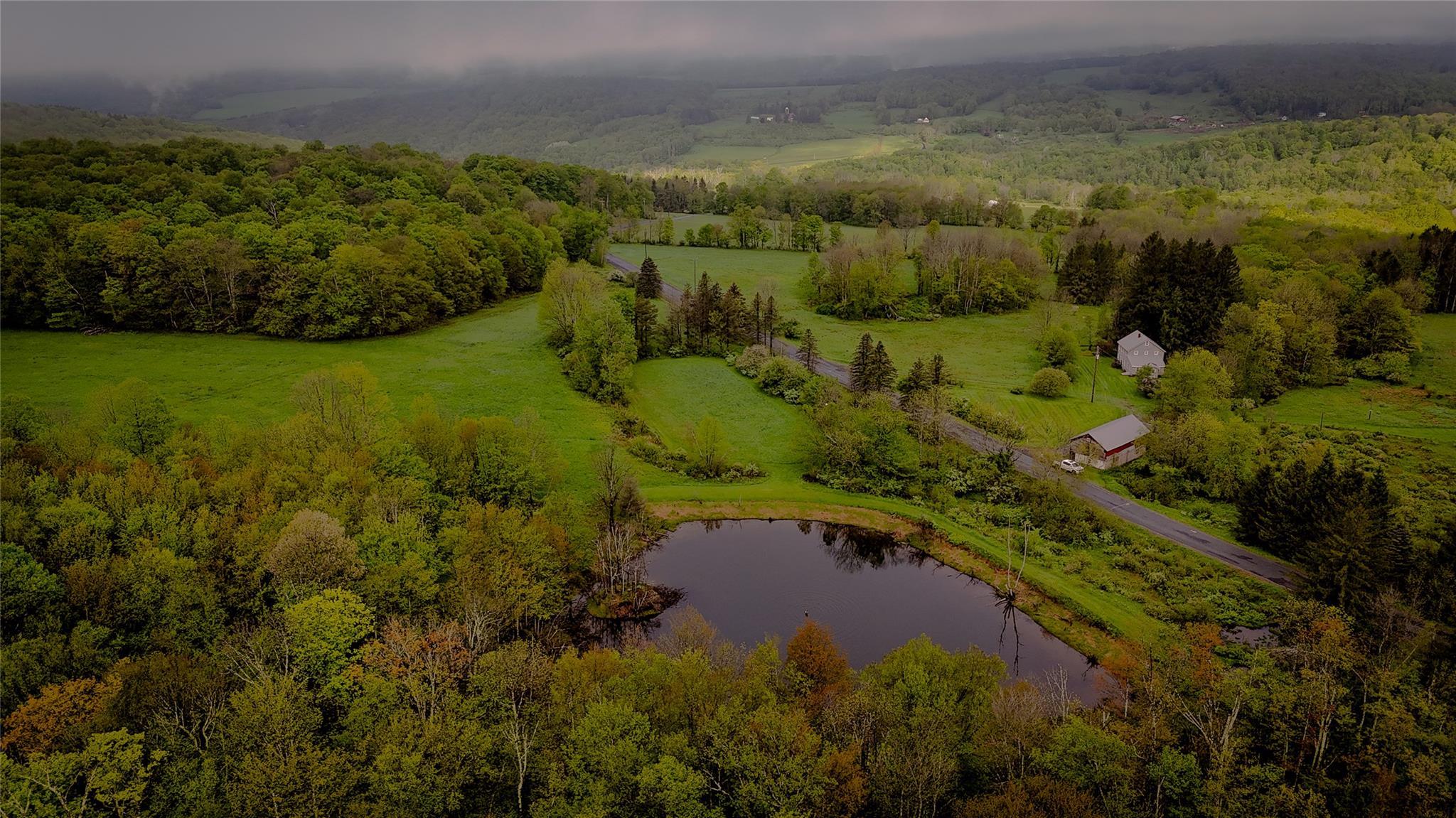 Single Family Hahn  Sullivan County, NY 12758, MLS-865663-4