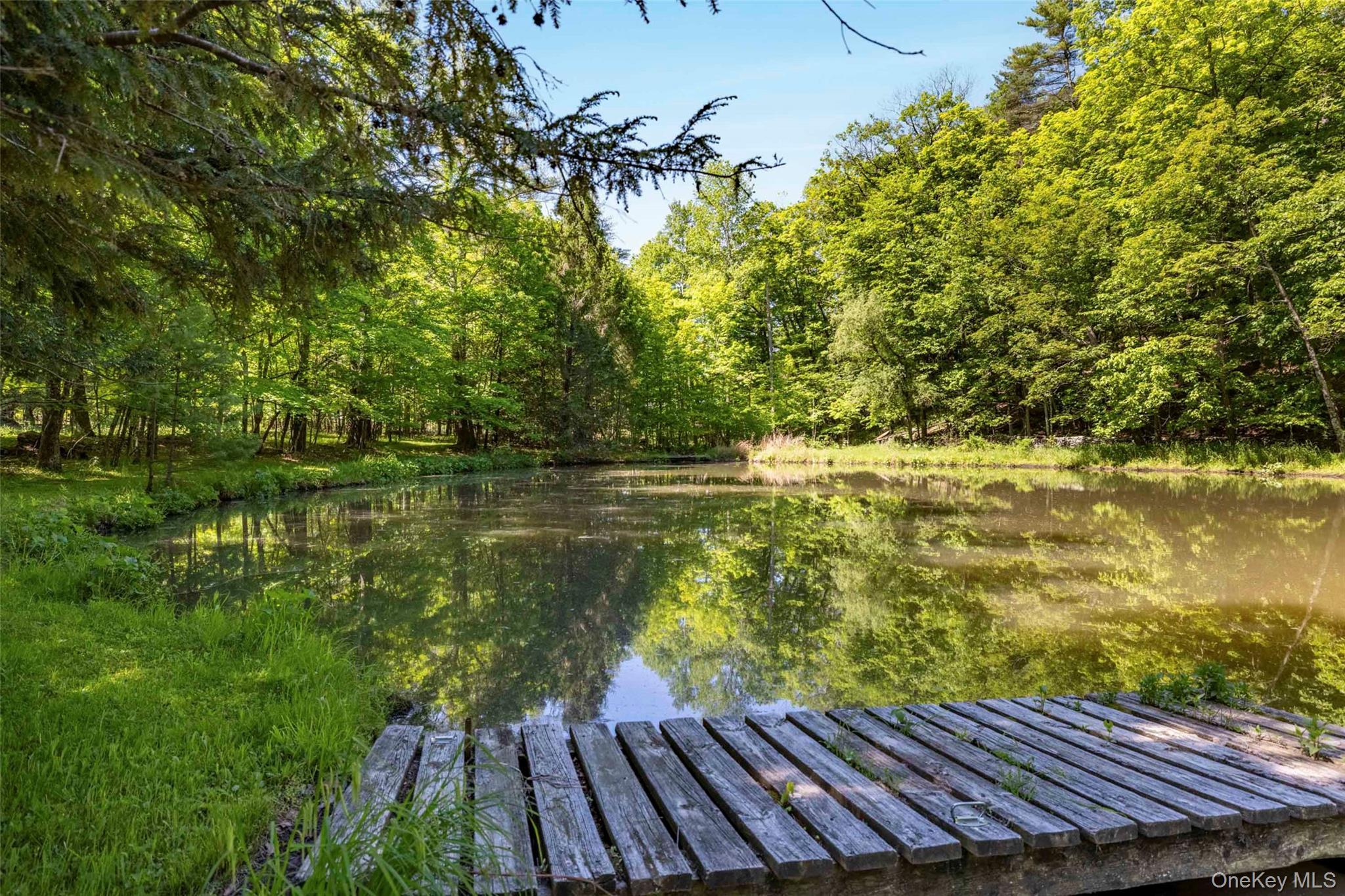 Single Family Route 212  Ulster County, NY 12477, MLS-865818-43