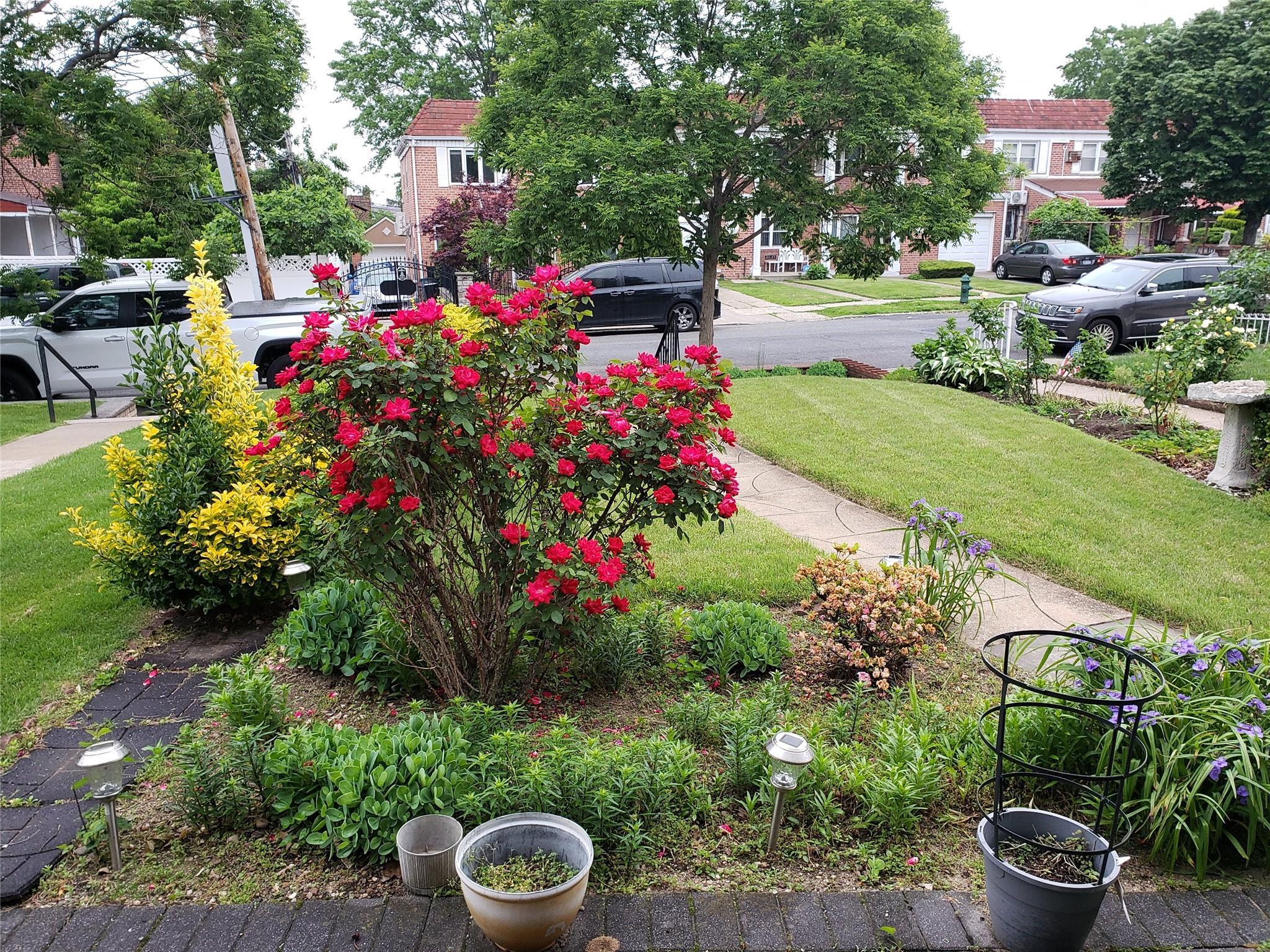 Single Family 84th Queens, NY 11379, MLS-865862-20