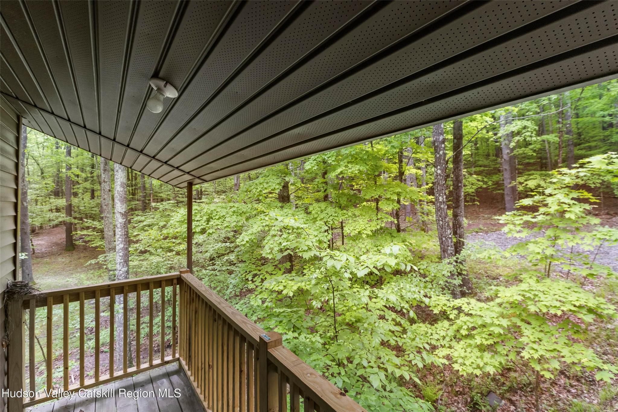 Single Family Deer Park  Greene County, NY 12473, MLS-865884-28