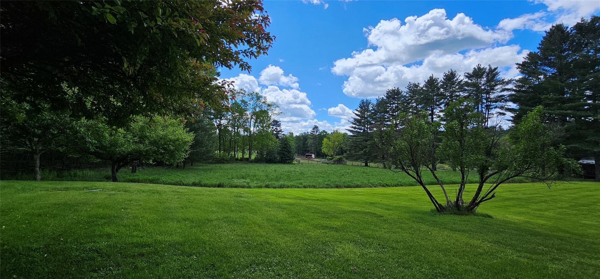 Single Family Buff  Sullivan County, NY 12726, MLS-865983-22