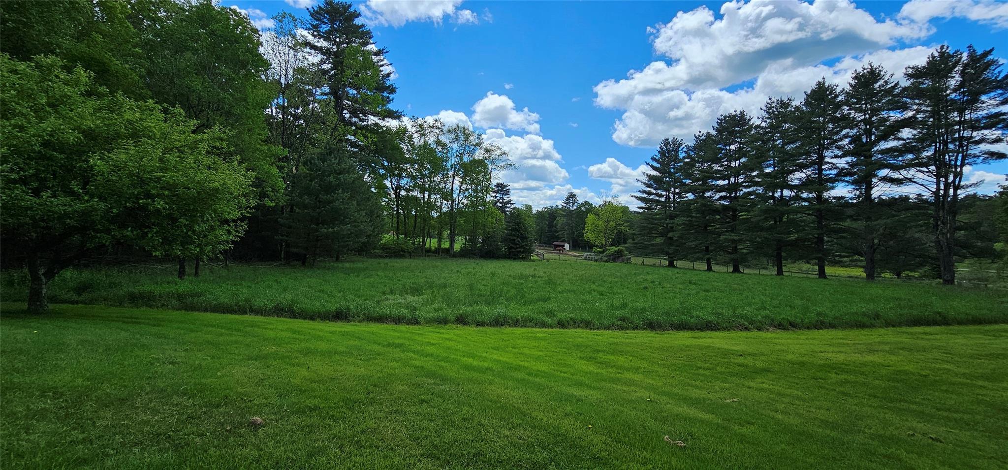 Single Family Buff  Sullivan County, NY 12726, MLS-865983-23