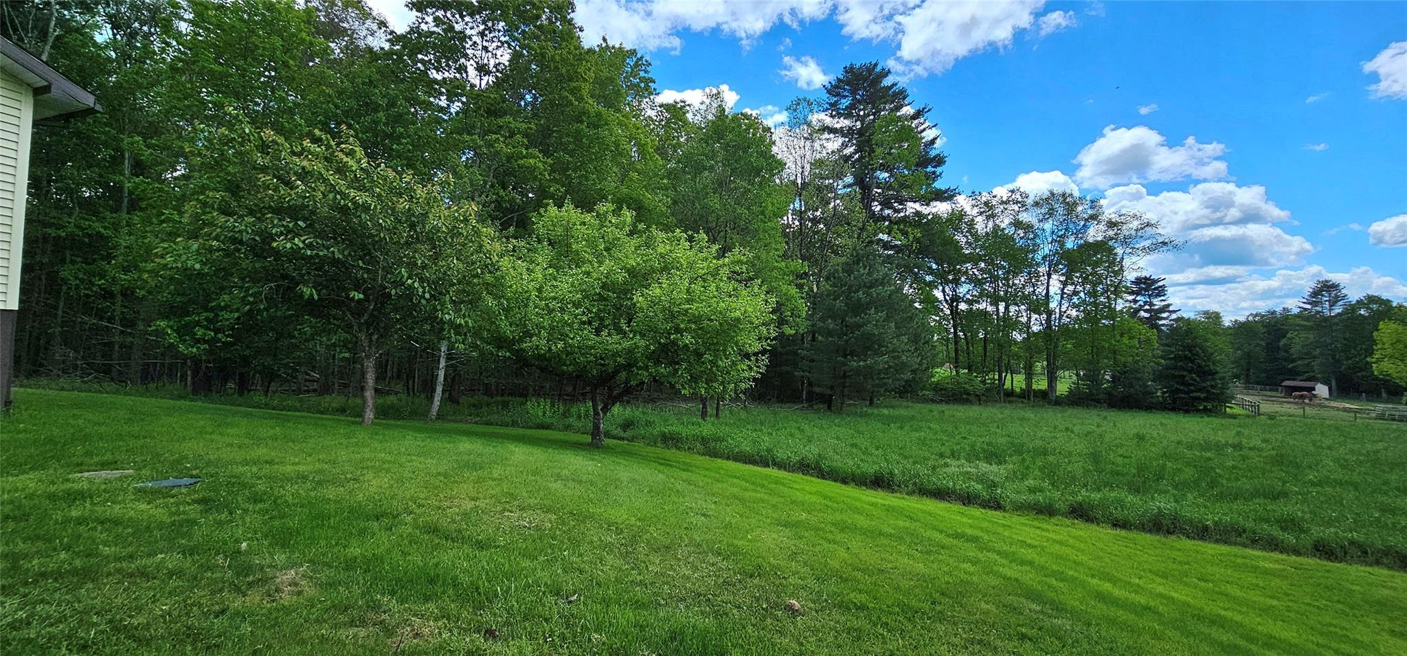 Single Family Buff  Sullivan County, NY 12726, MLS-865983-24