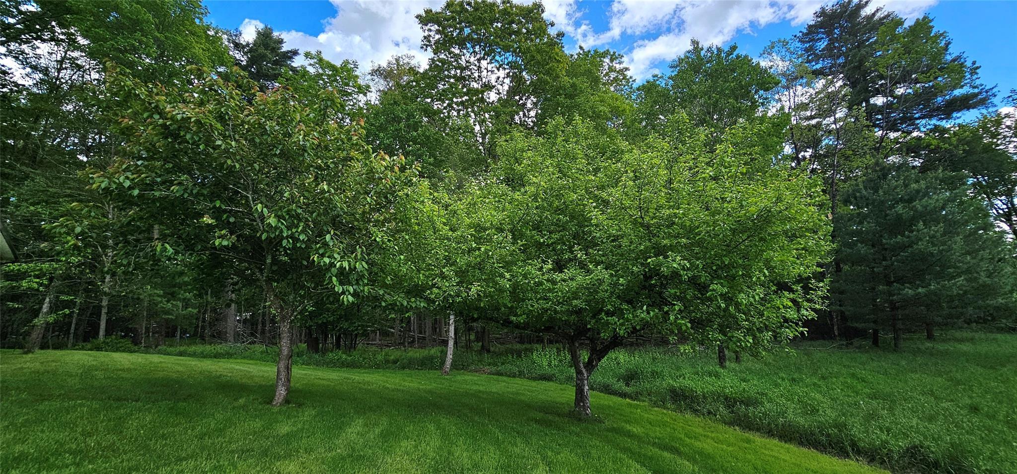 Single Family Buff  Sullivan County, NY 12726, MLS-865983-26