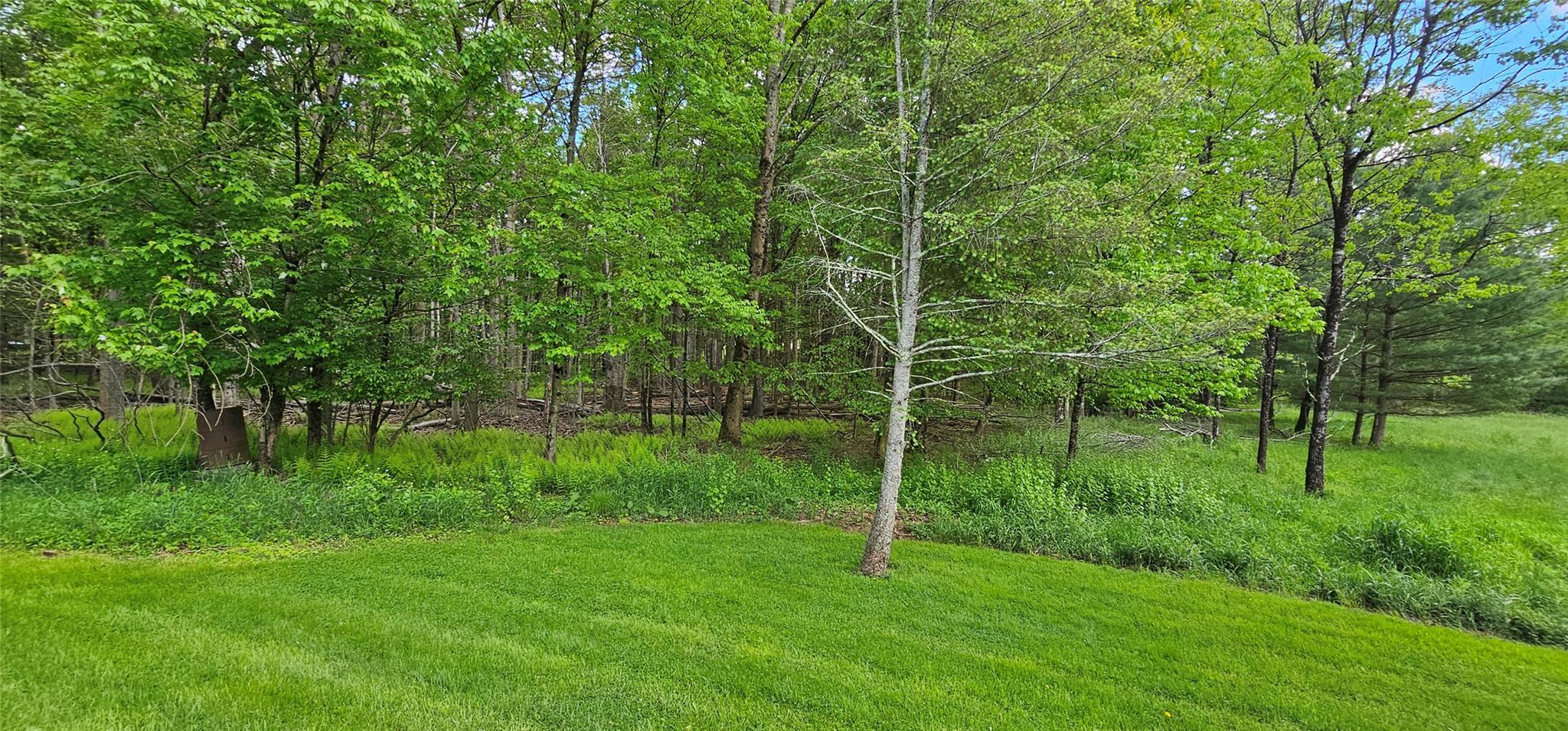 Single Family Buff  Sullivan County, NY 12726, MLS-865983-27