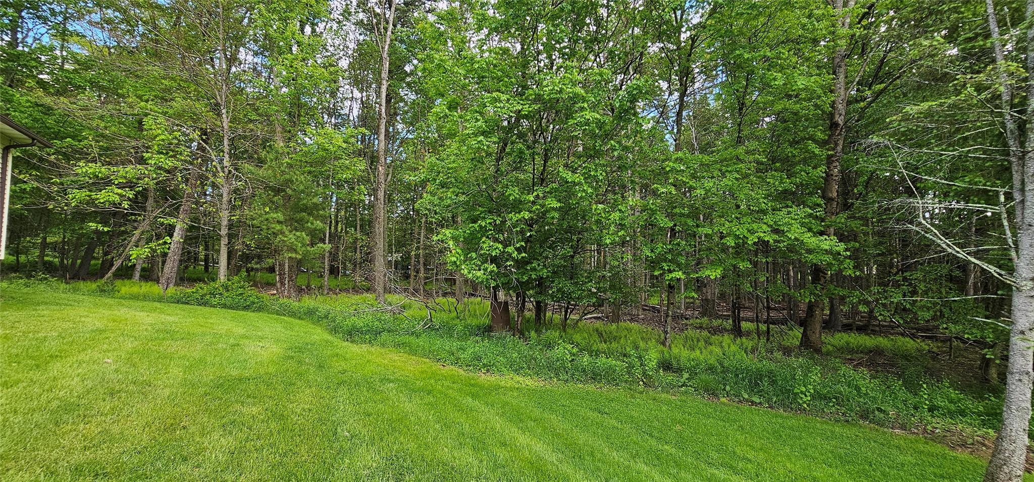 Single Family Buff  Sullivan County, NY 12726, MLS-865983-28