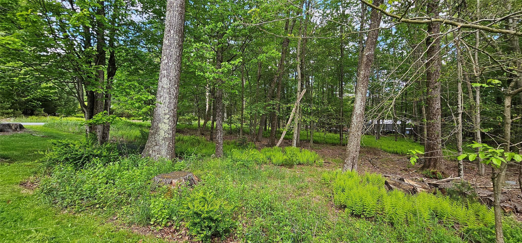 Single Family Buff  Sullivan County, NY 12726, MLS-865983-31