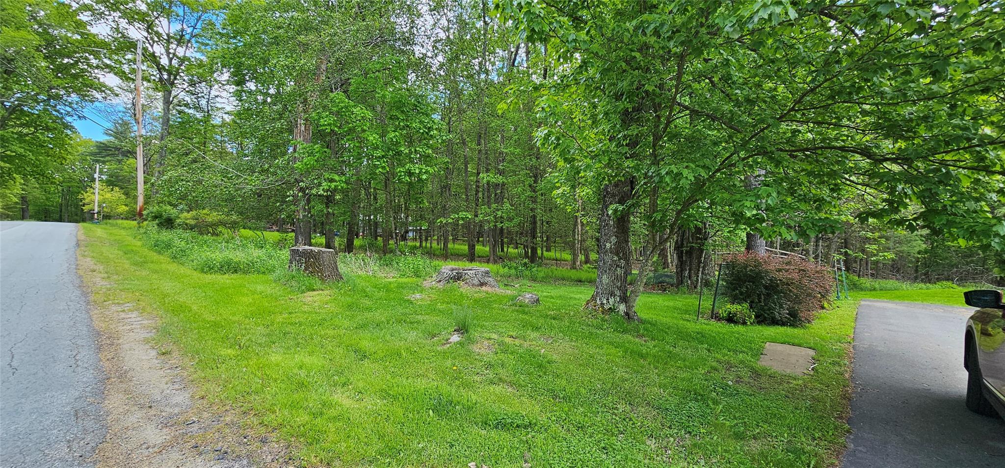 Single Family Buff  Sullivan County, NY 12726, MLS-865983-32