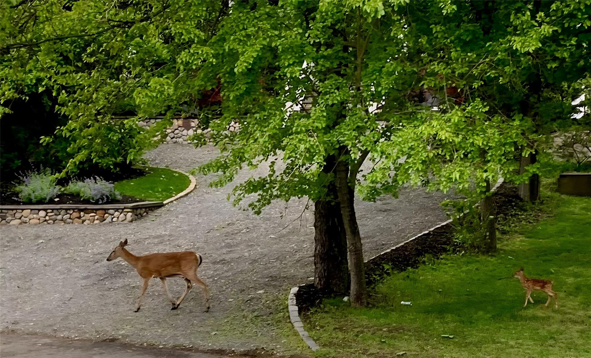 Single Family Makamah Beach  Suffolk County, NY 11768, MLS-866004-27