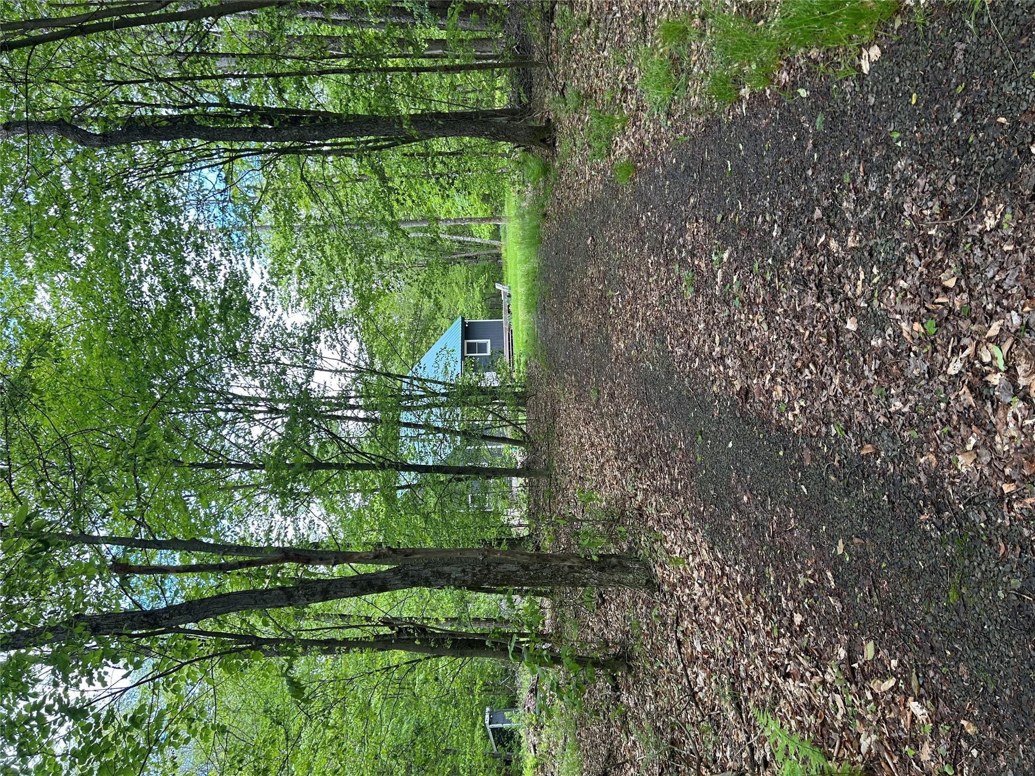 Single Family Maccabee  Delaware County, NY 12776, MLS-866057-39