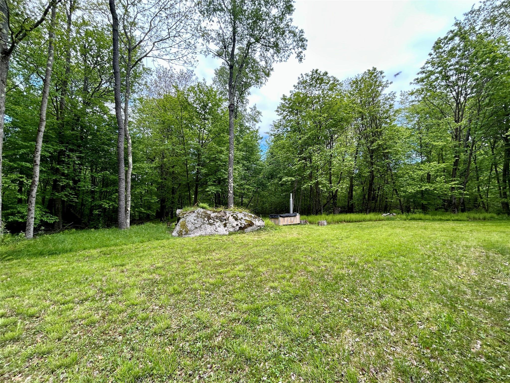 Single Family Maccabee  Delaware County, NY 12776, MLS-866057-8