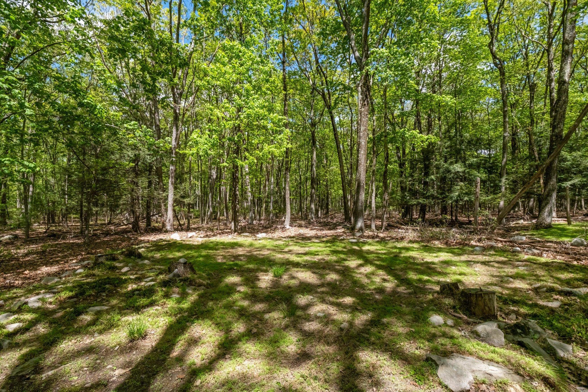 Single Family Canal  Sullivan County, NY 12790, MLS-866132-28