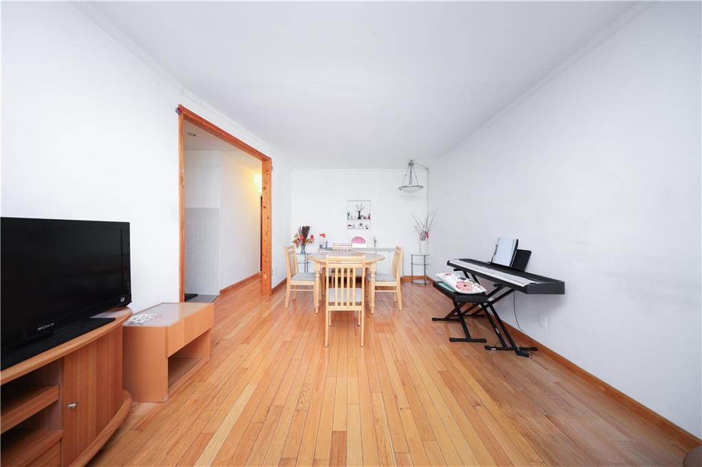 Single Family 29th  Brooklyn, NY 11229, MLS-866333-8