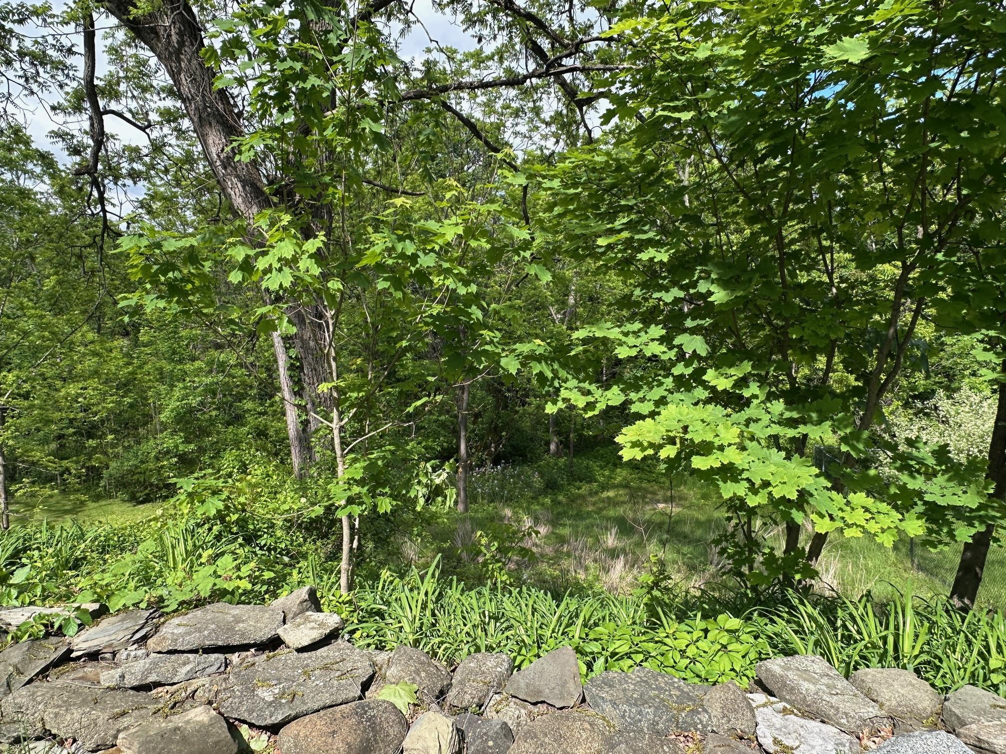 Single Family North  Ulster County, NY 12528, MLS-866348-21