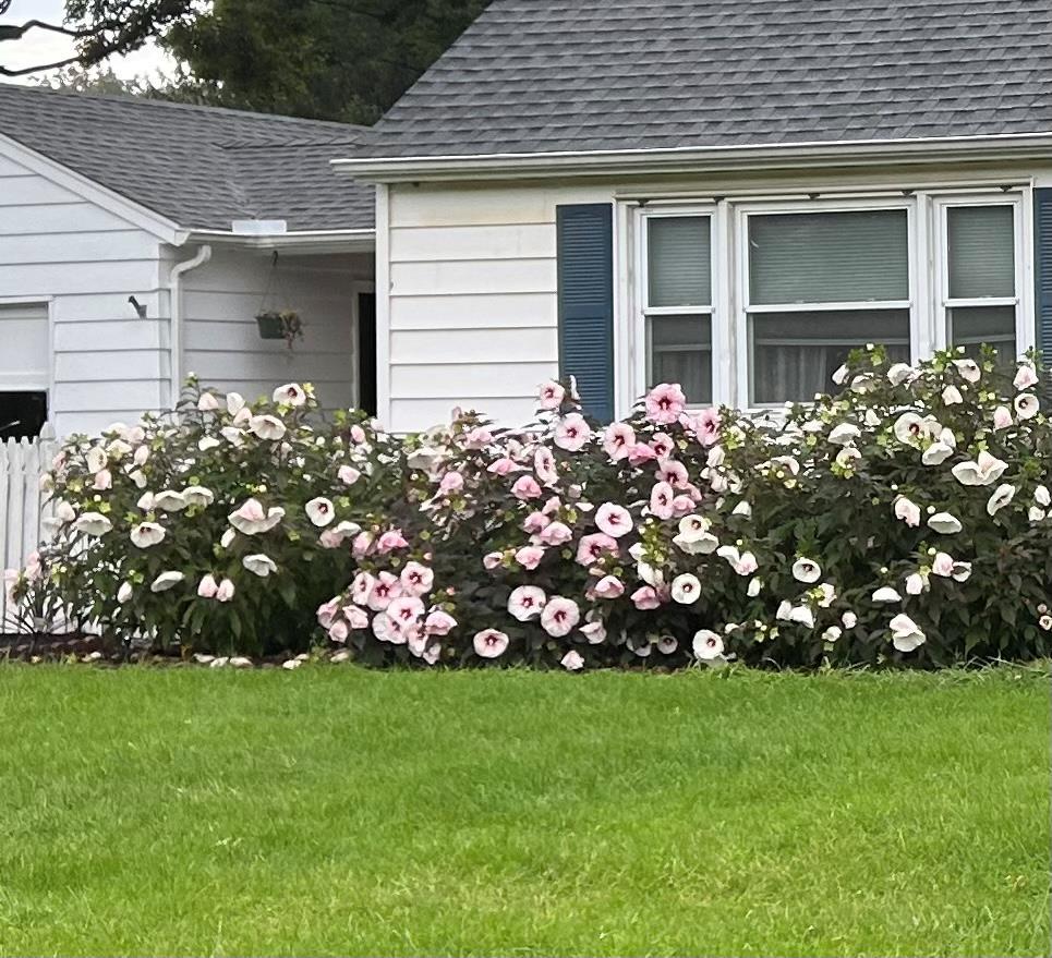 Single Family Huguenot  Ulster County, NY 12486, MLS-866387-5