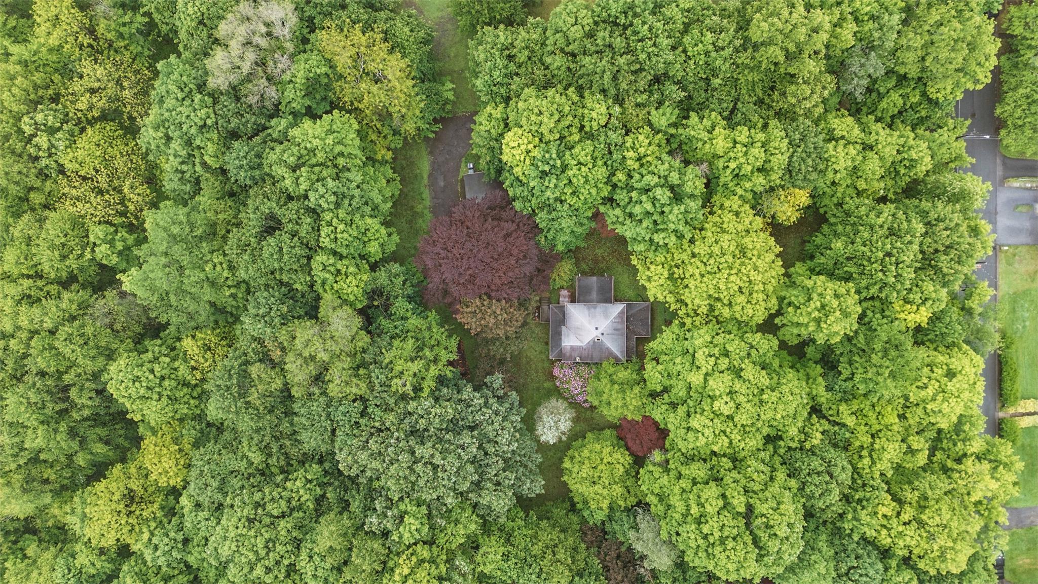 Single Family East  Orange County, NY 12586, MLS-866399-39
