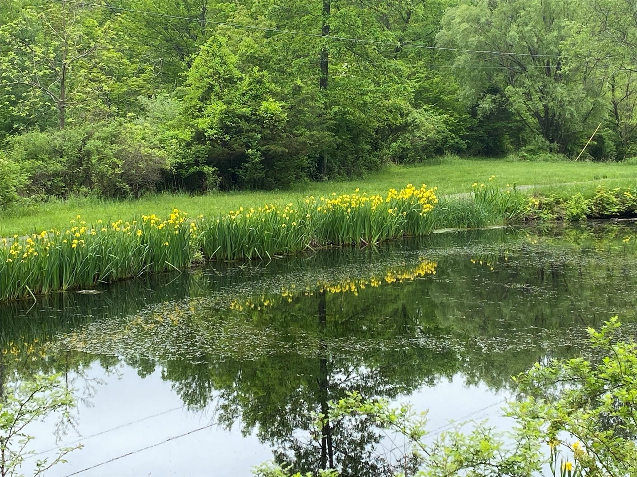 Single Family Upper Mountain  Ulster County, NY 12566, MLS-866526-22