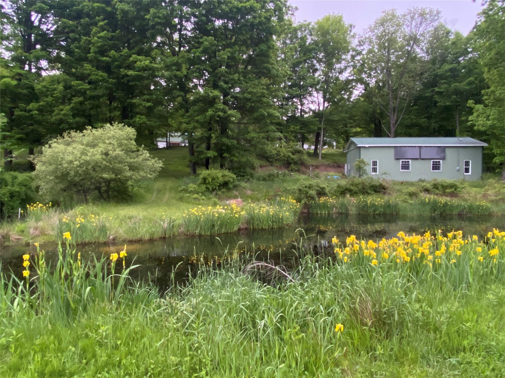 Single Family Upper Mountain  Ulster County, NY 12566, MLS-866526-23