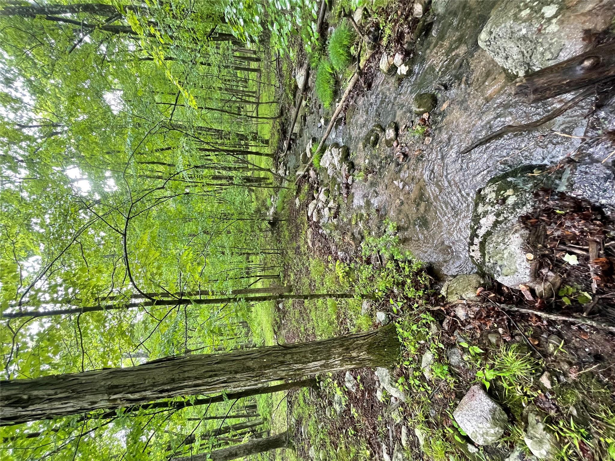 Single Family Upper Mountain  Ulster County, NY 12566, MLS-866526-35