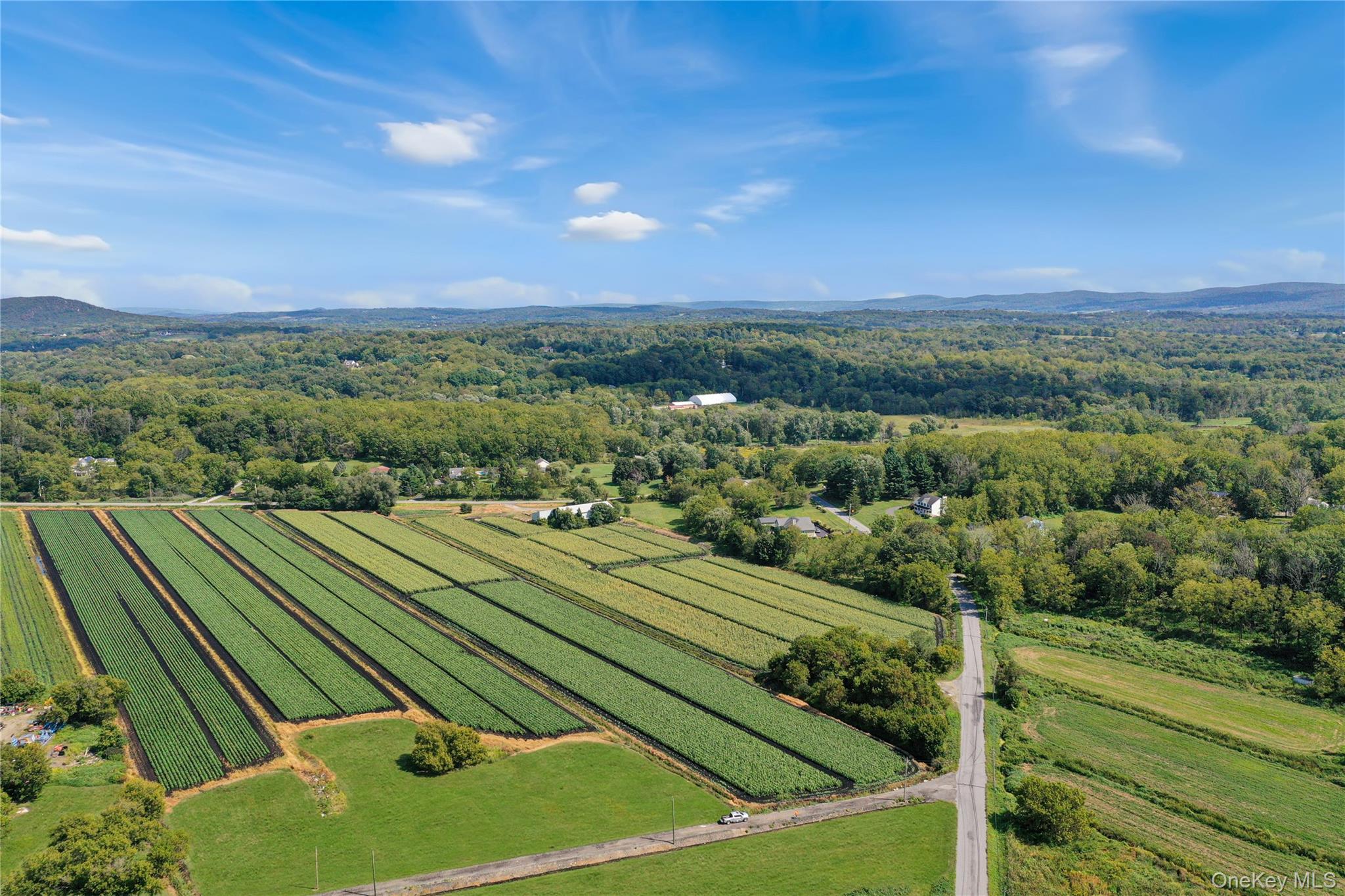 Single Family Stage Orange County, NY 10969, MLS-866542-40