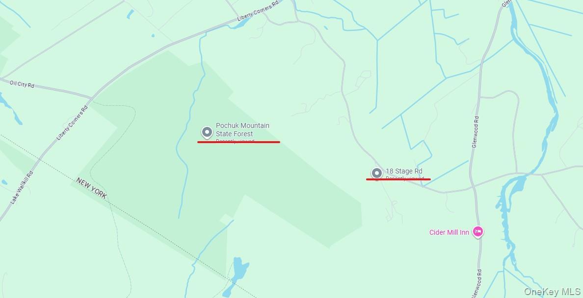 Single Family Stage  Orange County, NY 10969, MLS-866542-42