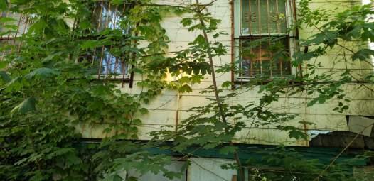 Single Family Saint Marks  Staten Island, NY 10301, MLS-866605-12