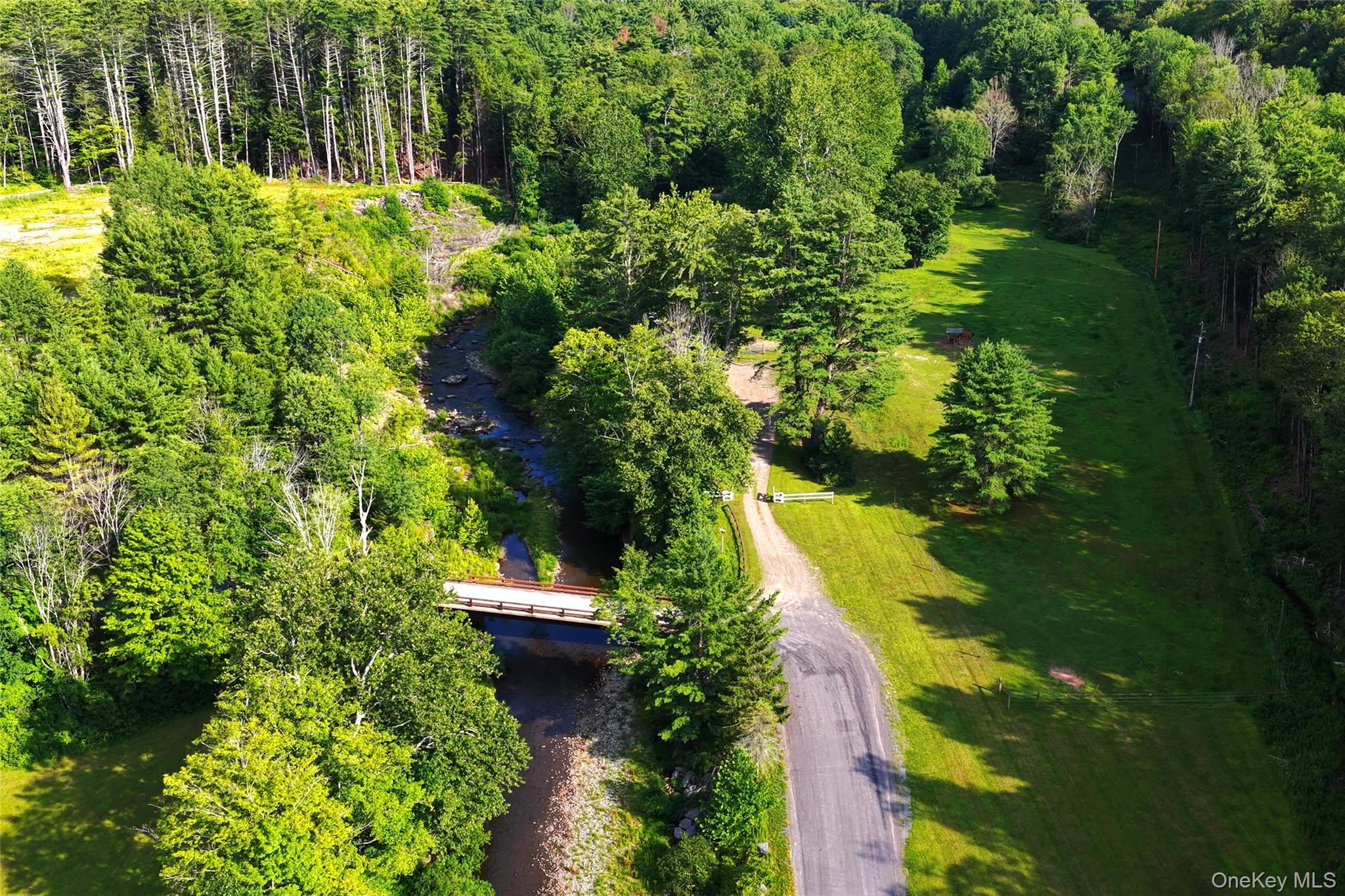 Single Family Erpf Road  Delaware County, NY 12406, MLS-866611-42