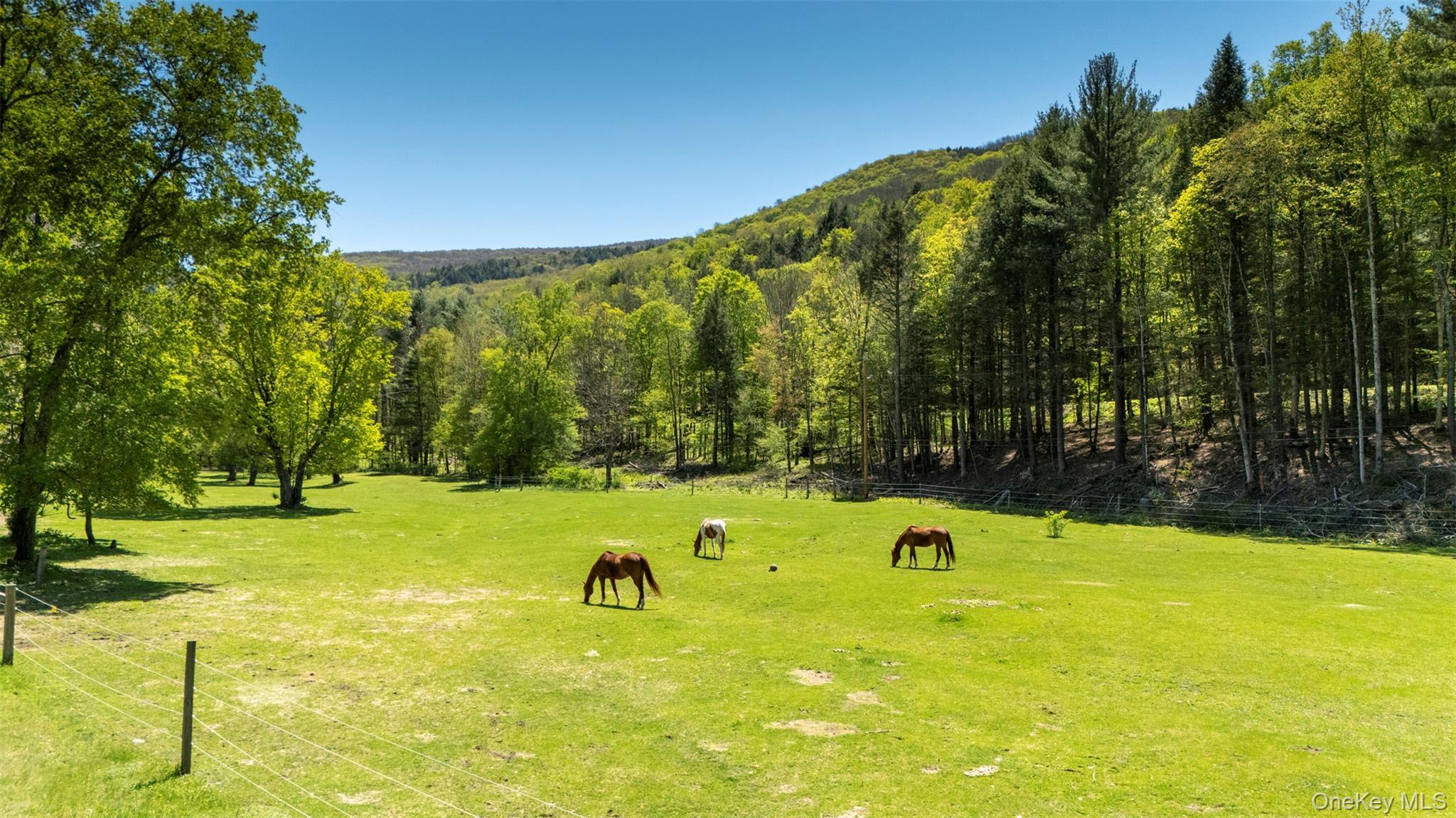 Single Family Erpf Road  Delaware County, NY 12406, MLS-866611-43