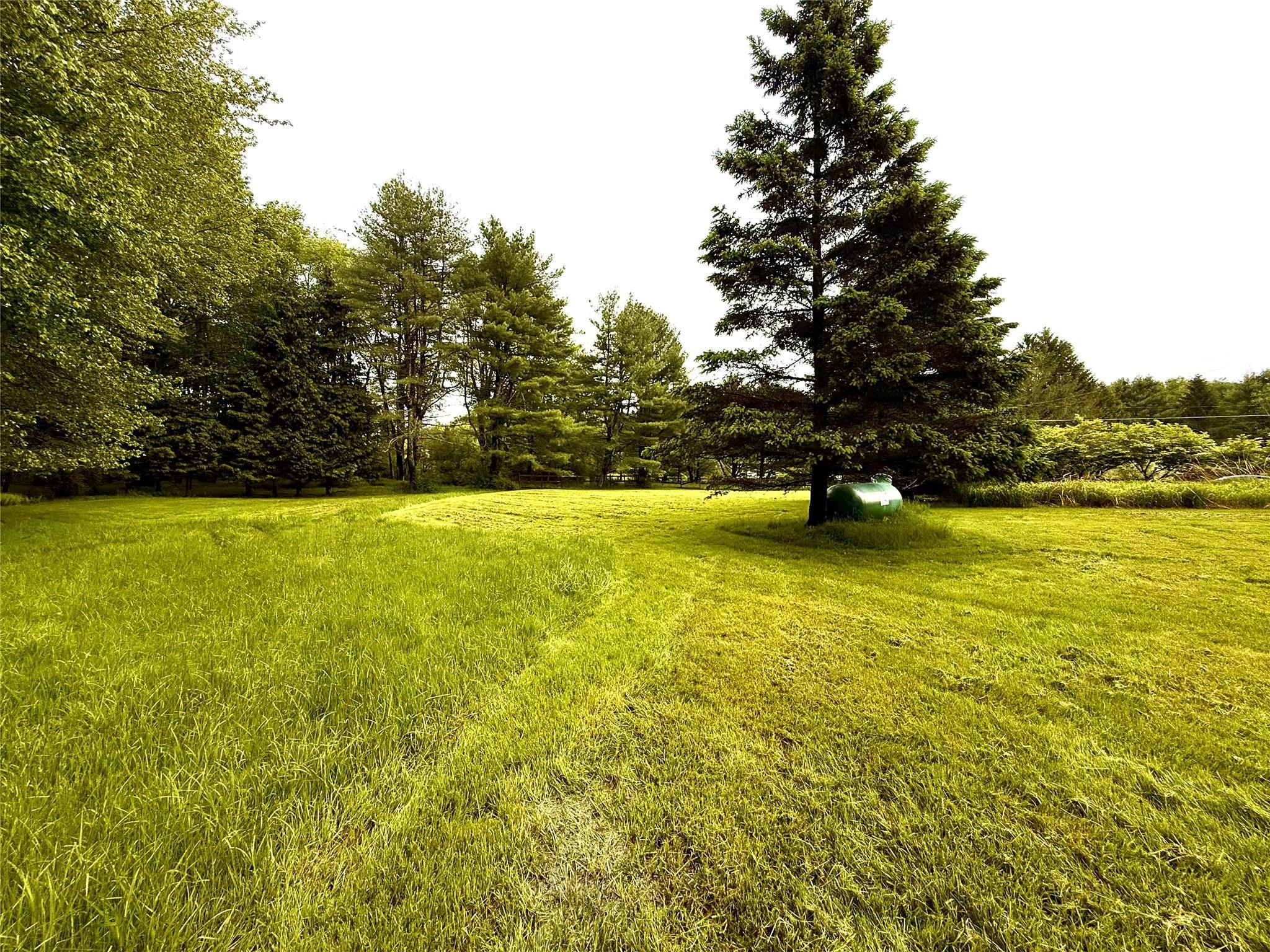 Single Family Moscoe  Sullivan County, NY 12786, MLS-866758-10