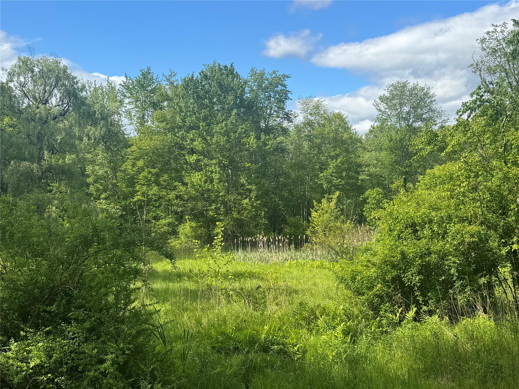 Single Family Union School  Orange County, NY 12549, MLS-866861-39
