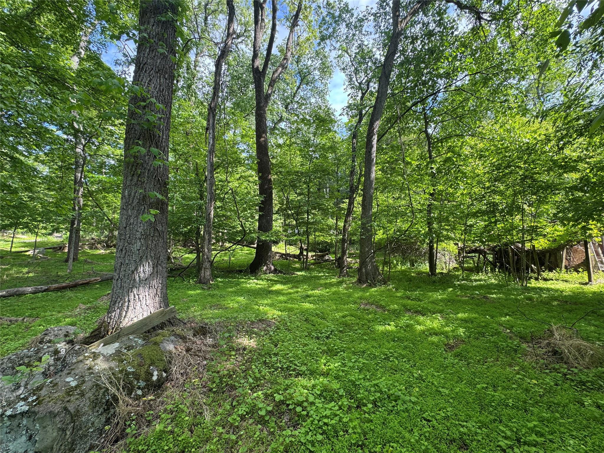 Single Family Union School  Orange County, NY 12549, MLS-866861-40