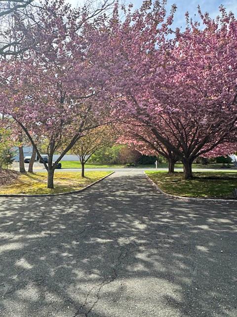 Single Family Debbie  Suffolk County, NY 11776, MLS-866930-3
