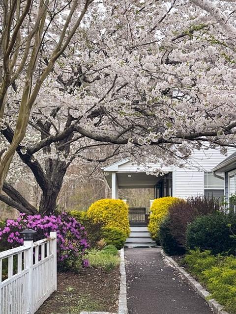 Single Family Debbie  Suffolk County, NY 11776, MLS-866930-4