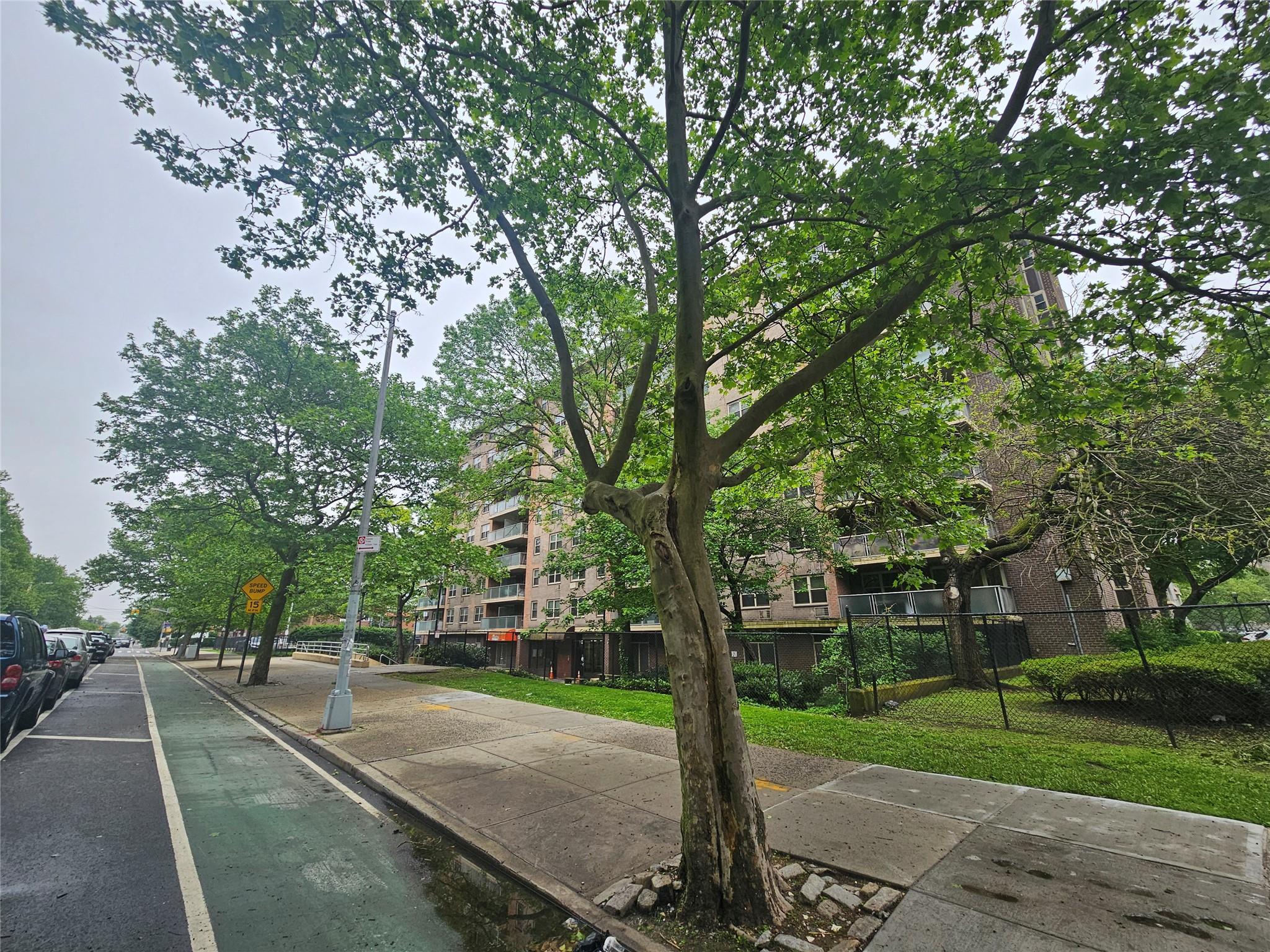 Condo Cozine  Brooklyn, NY 11207, MLS-866972-2