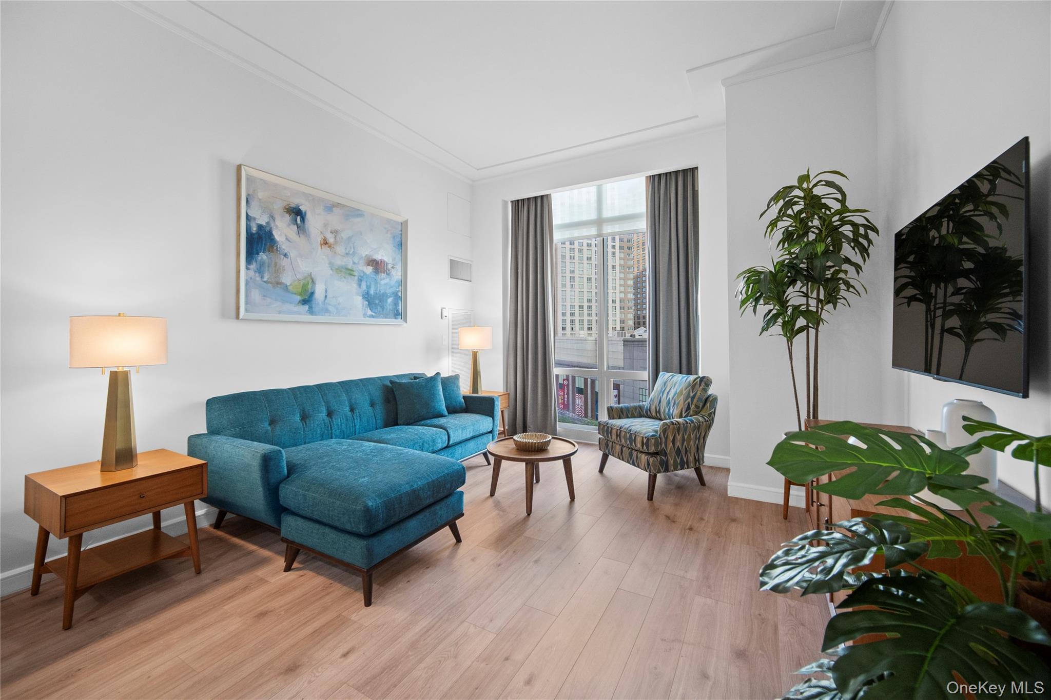 Condo Renaissance  Westchester County, NY 10601, MLS-867376-2