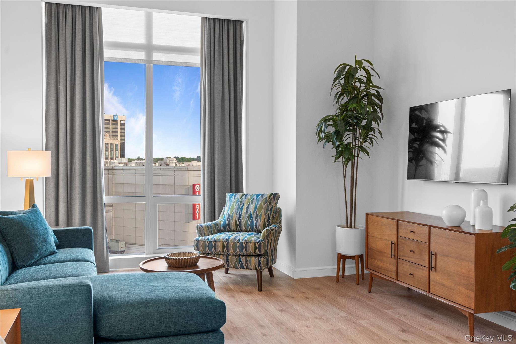 Condo Renaissance  Westchester County, NY 10601, MLS-867376-21