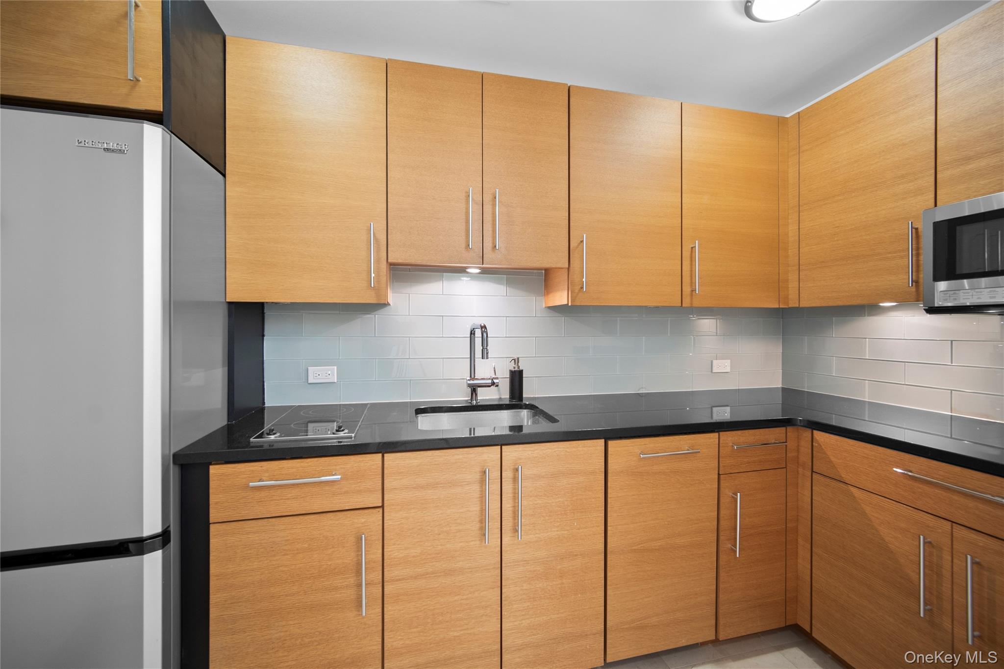 Condo Renaissance  Westchester County, NY 10601, MLS-867376-7