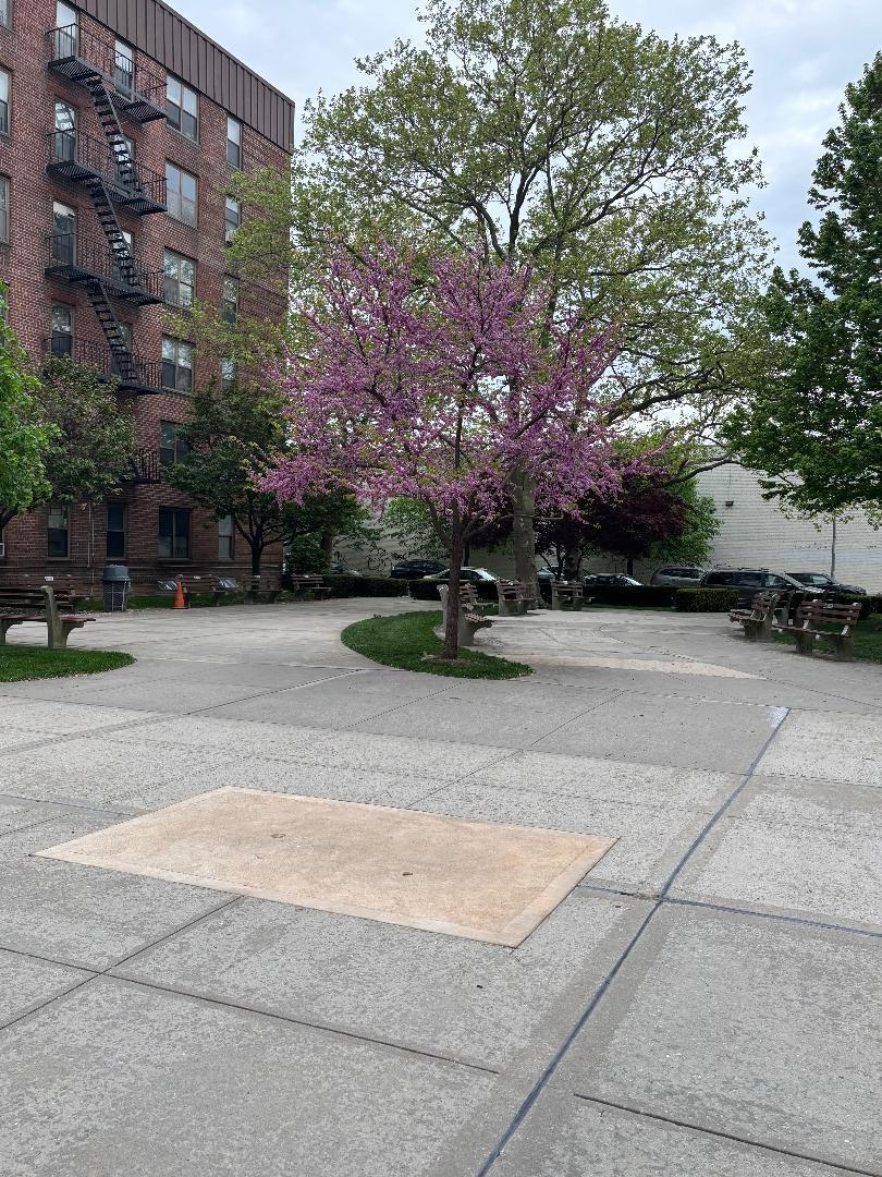 Coop Brigham  Brooklyn, NY 11229, MLS-867387-3