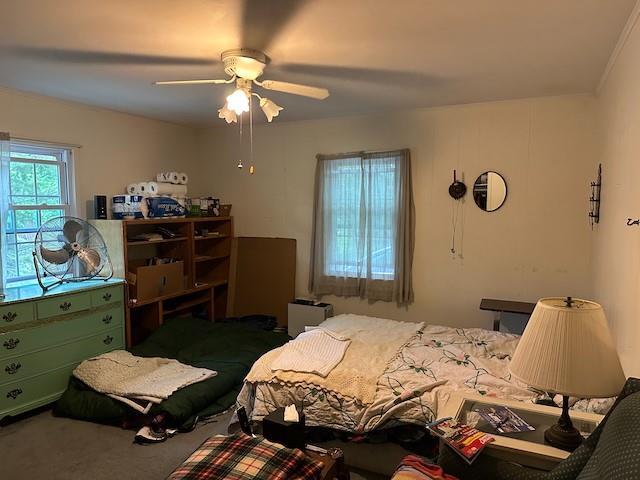 Single Family Deep Hole  Suffolk County, NY 11952, MLS-867523-23