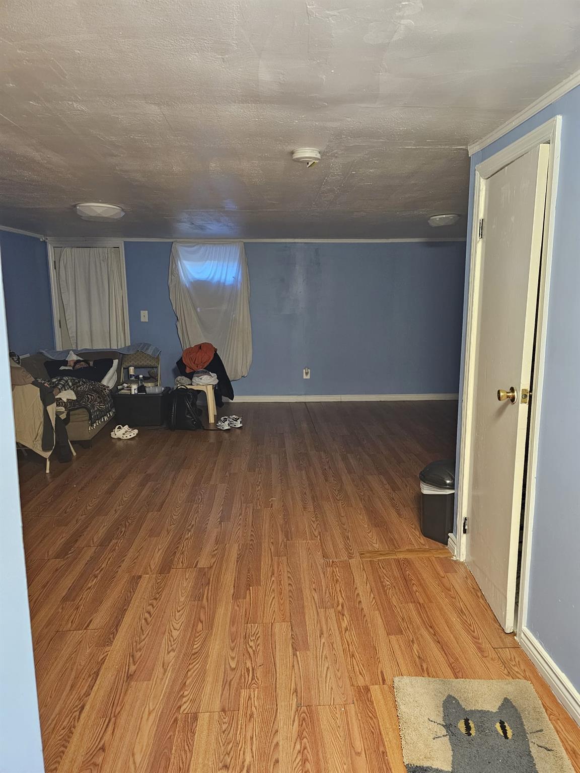 Single Family Van Cleef  Queens, NY 11368, MLS-867625-13