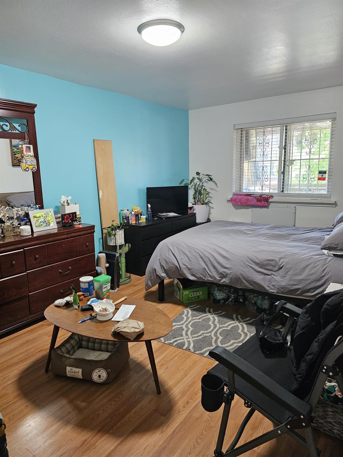 Single Family Van Cleef  Queens, NY 11368, MLS-867625-17